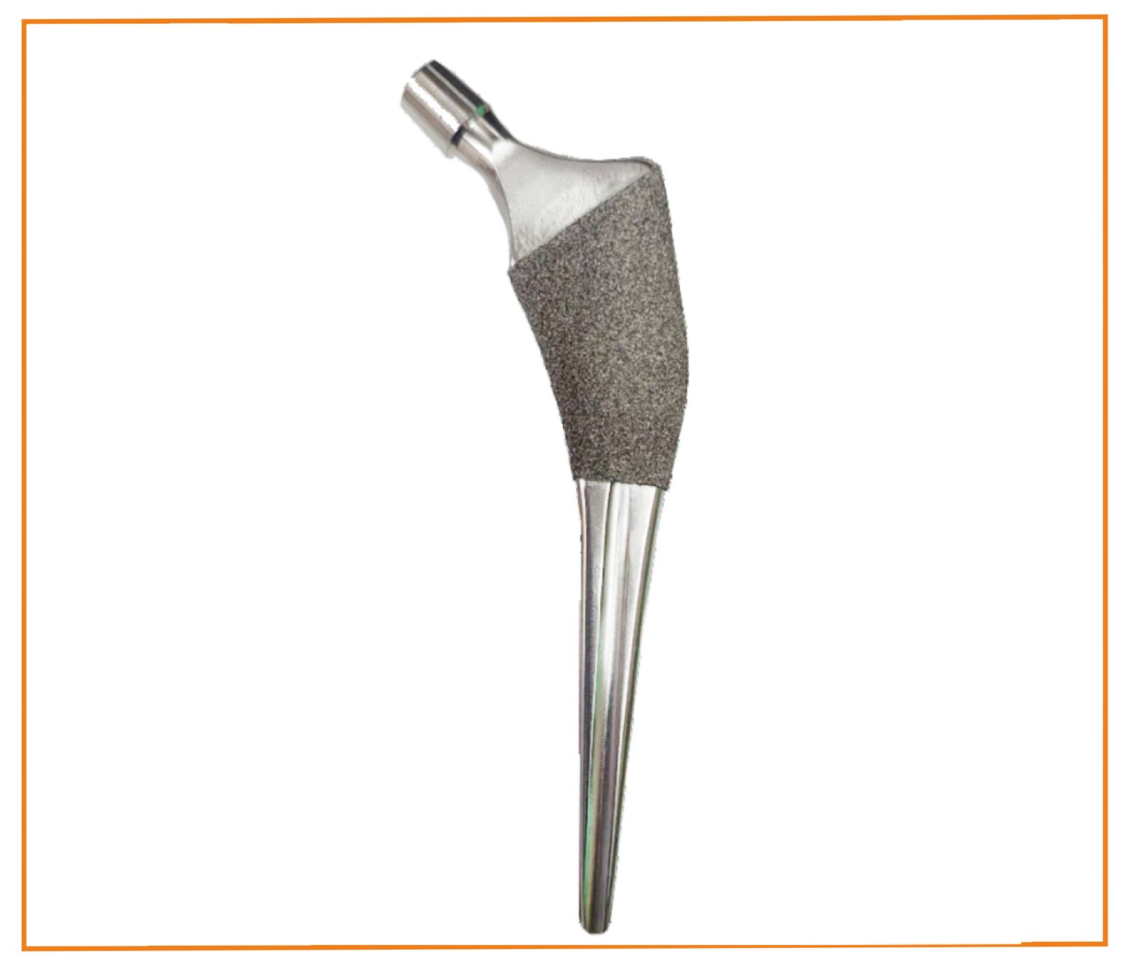 Vega Porous Coated stem